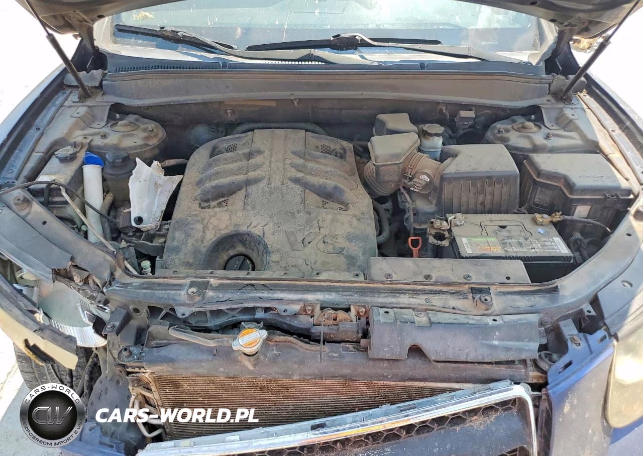 2009 Hyundai Santa Fe Se VIN:5NMSH13E99H299029 - 12