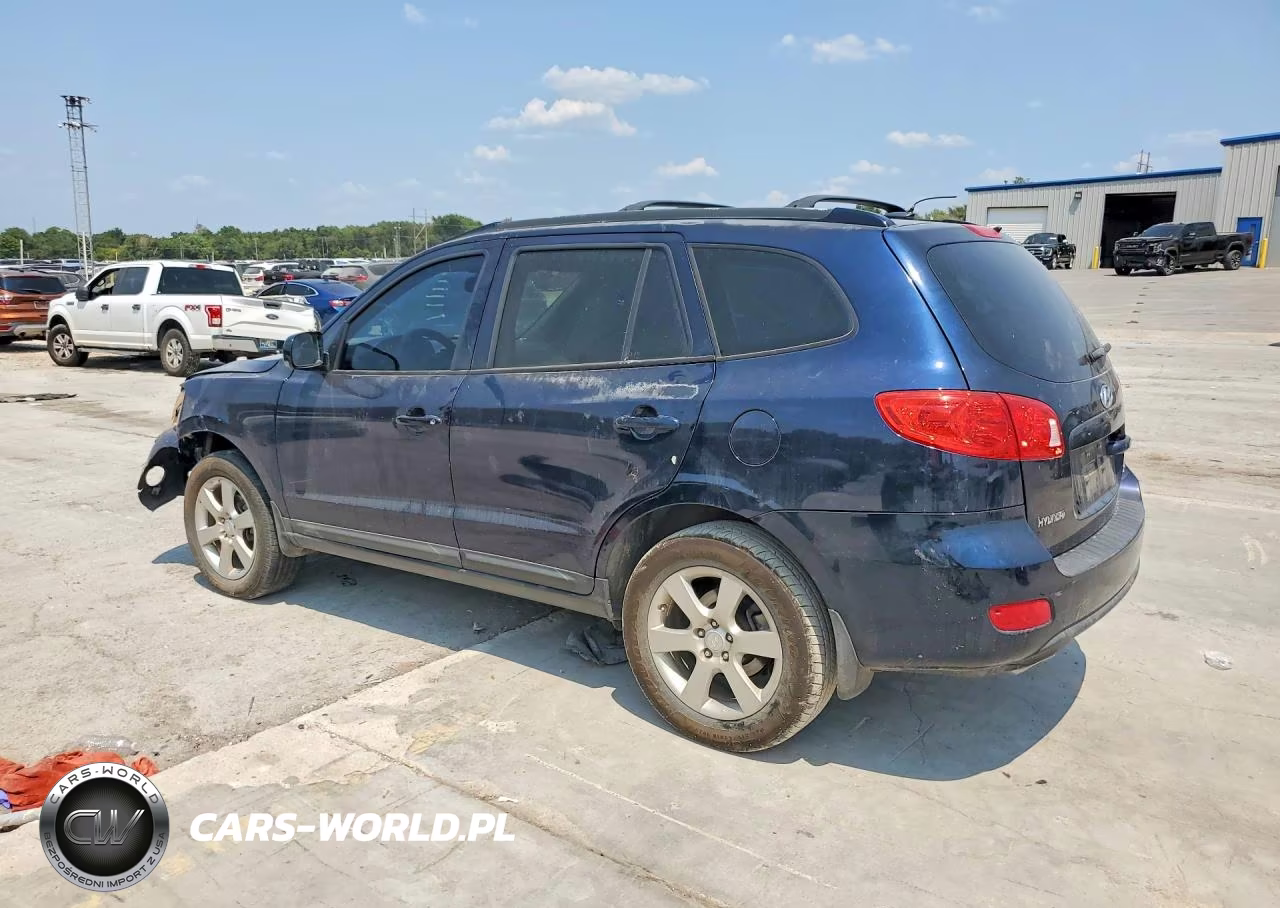 2009 Hyundai Santa Fe Se VIN:5NMSH13E99H299029 - 2