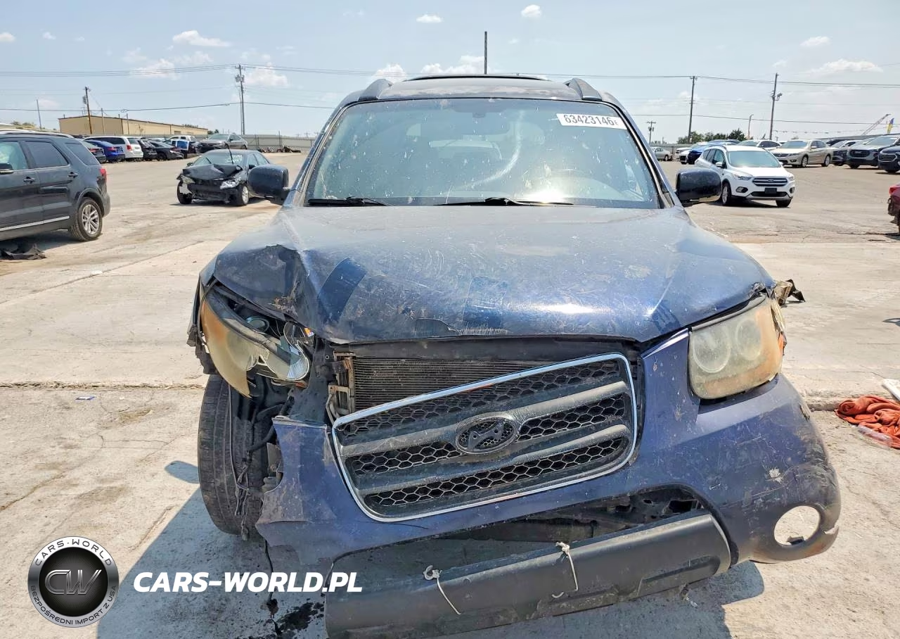 2009 Hyundai Santa Fe Se VIN:5NMSH13E99H299029 - 5