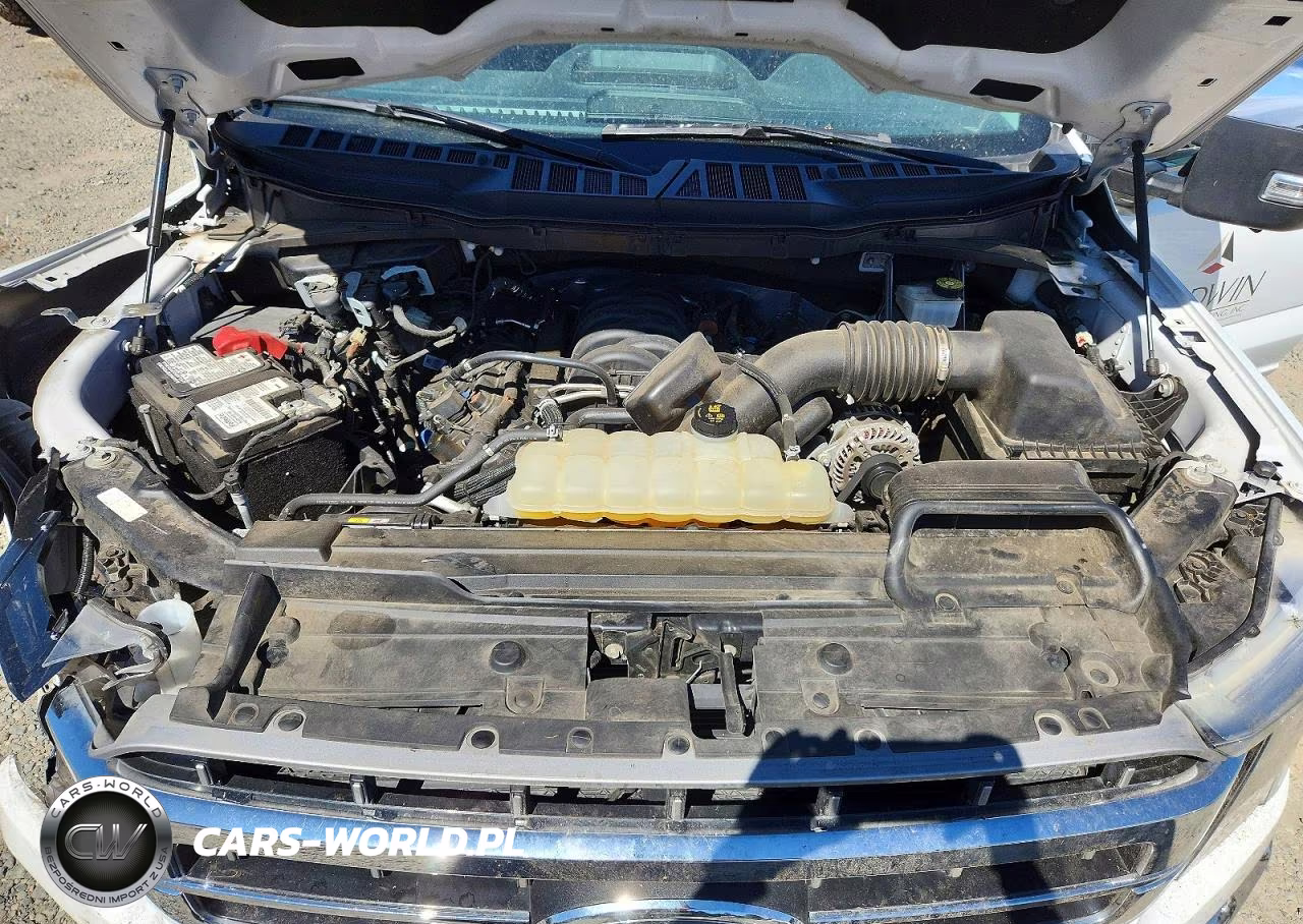 2023 Ford F150 Supercrew VIN:1FTFW1E5XPFB29759 - 11