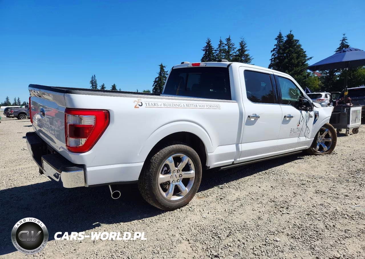 2023 Ford F150 Supercrew VIN:1FTFW1E5XPFB29759 - 3