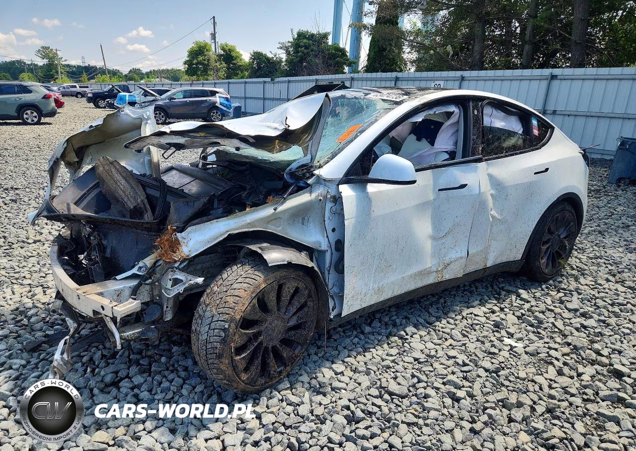 2021 Tesla Model Y VIN:5YJYGDEF9MF246538 - 1