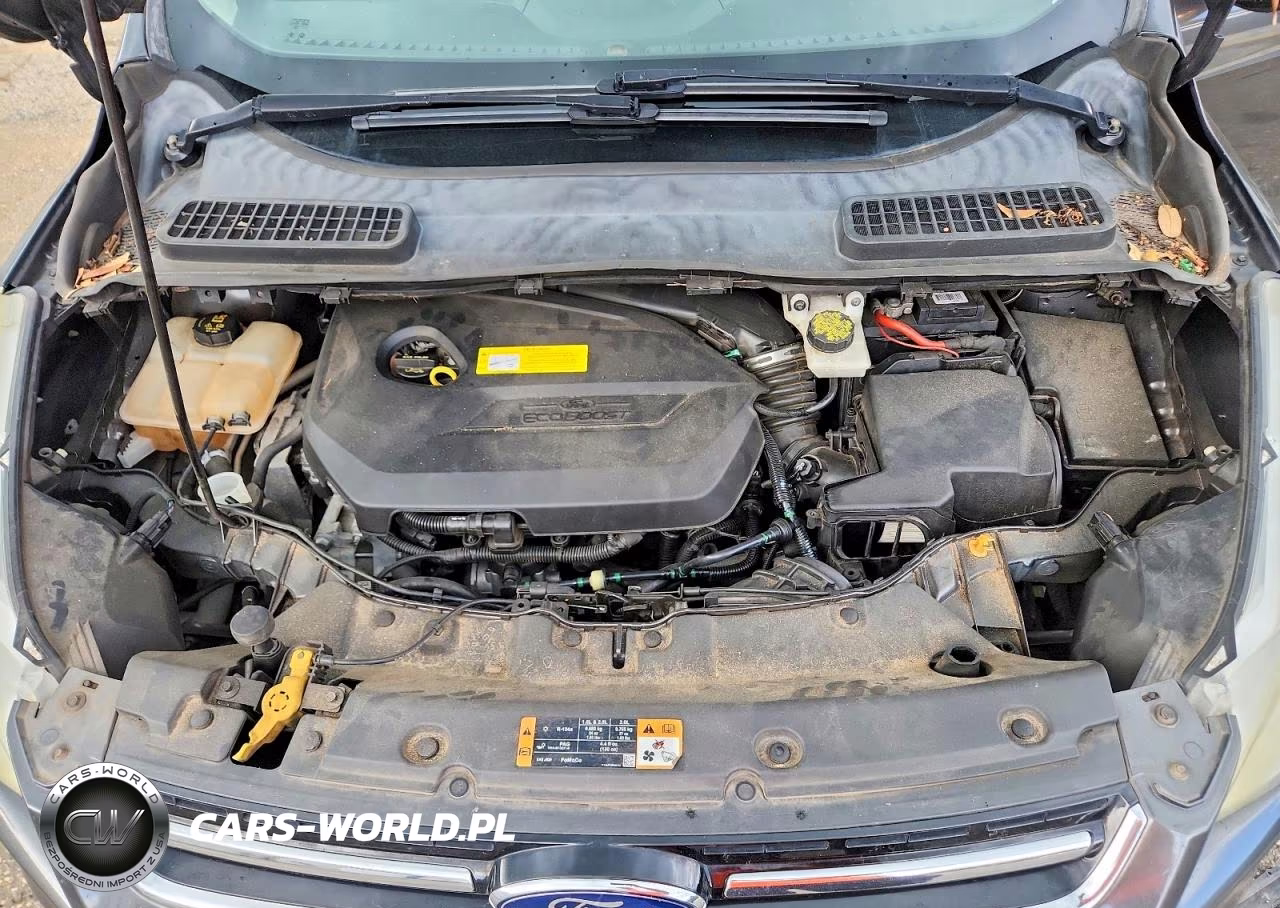 2015 Ford Escape Titanium VIN:1FMCU0JX6FUC56217 - 12