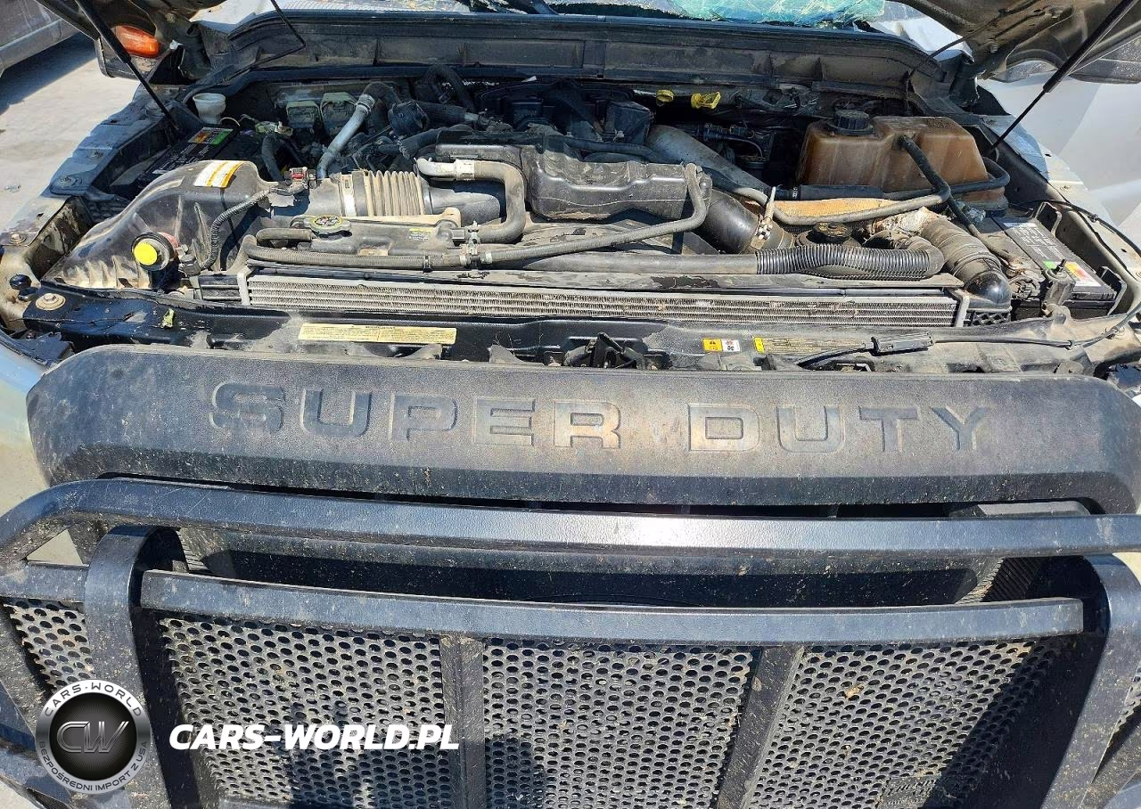 2011 Ford F350 Super Duty VIN:1FT7W3BT4BEC63491 - 11