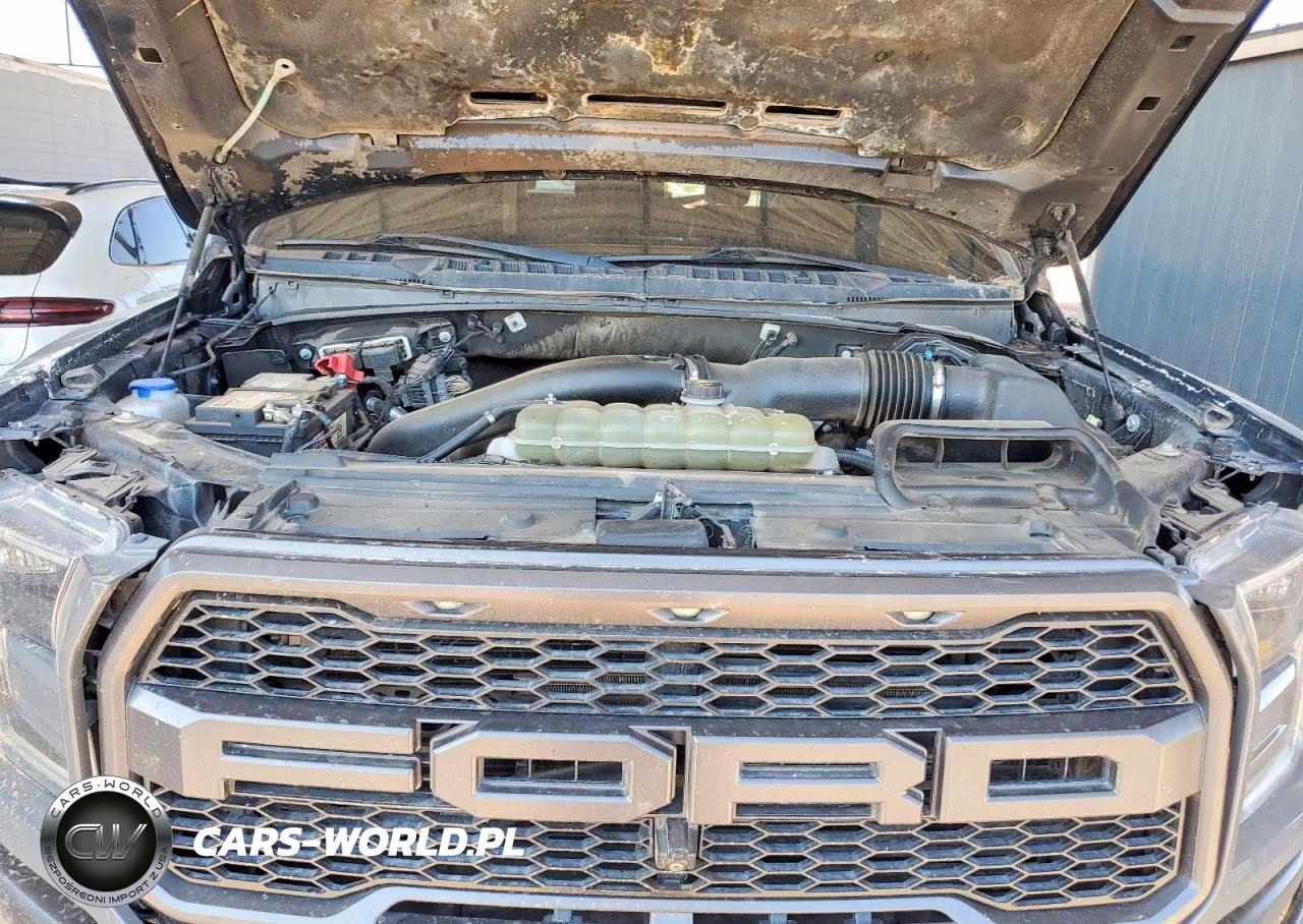 2020 Ford F150 Raptor VIN:1FTFW1RG2LFA37793 - 11