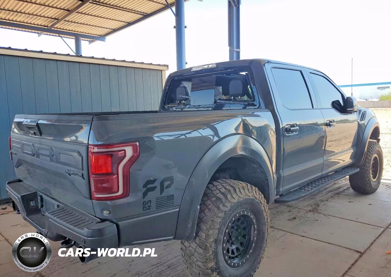 2020 Ford F150 Raptor VIN:1FTFW1RG2LFA37793 - 3
