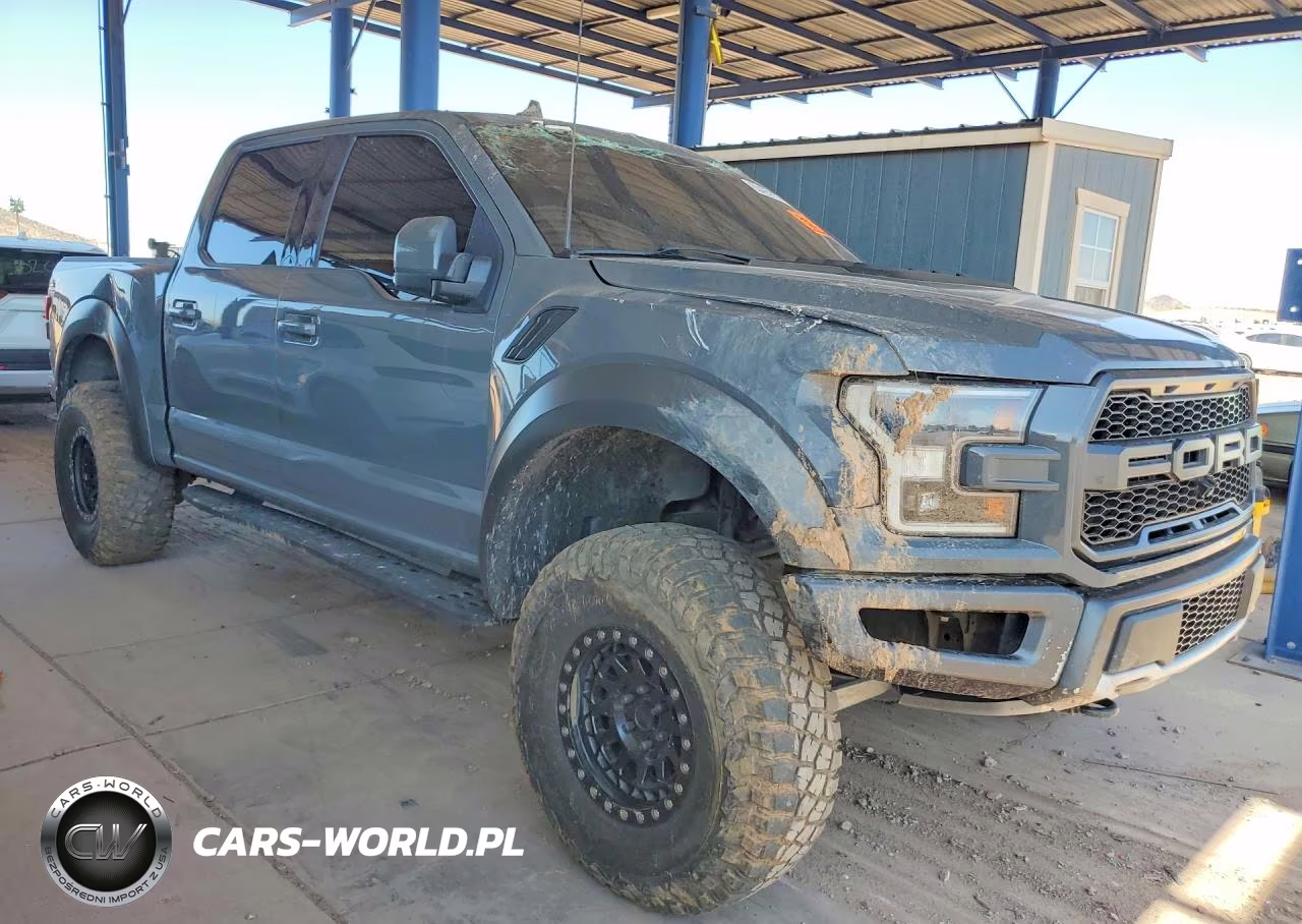 2020 Ford F150 Raptor VIN:1FTFW1RG2LFA37793 - 4