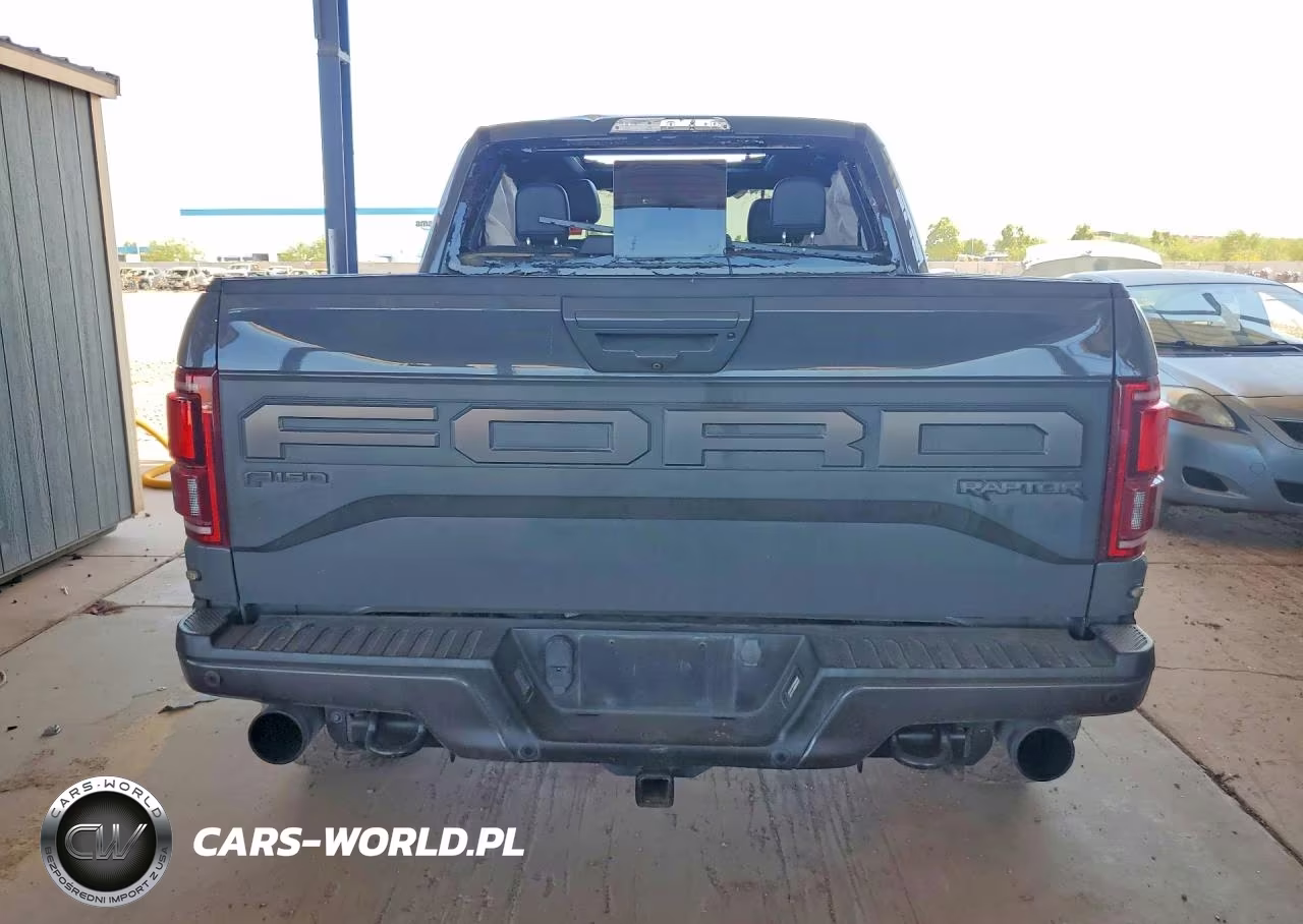 2020 Ford F150 Raptor VIN:1FTFW1RG2LFA37793 - 6