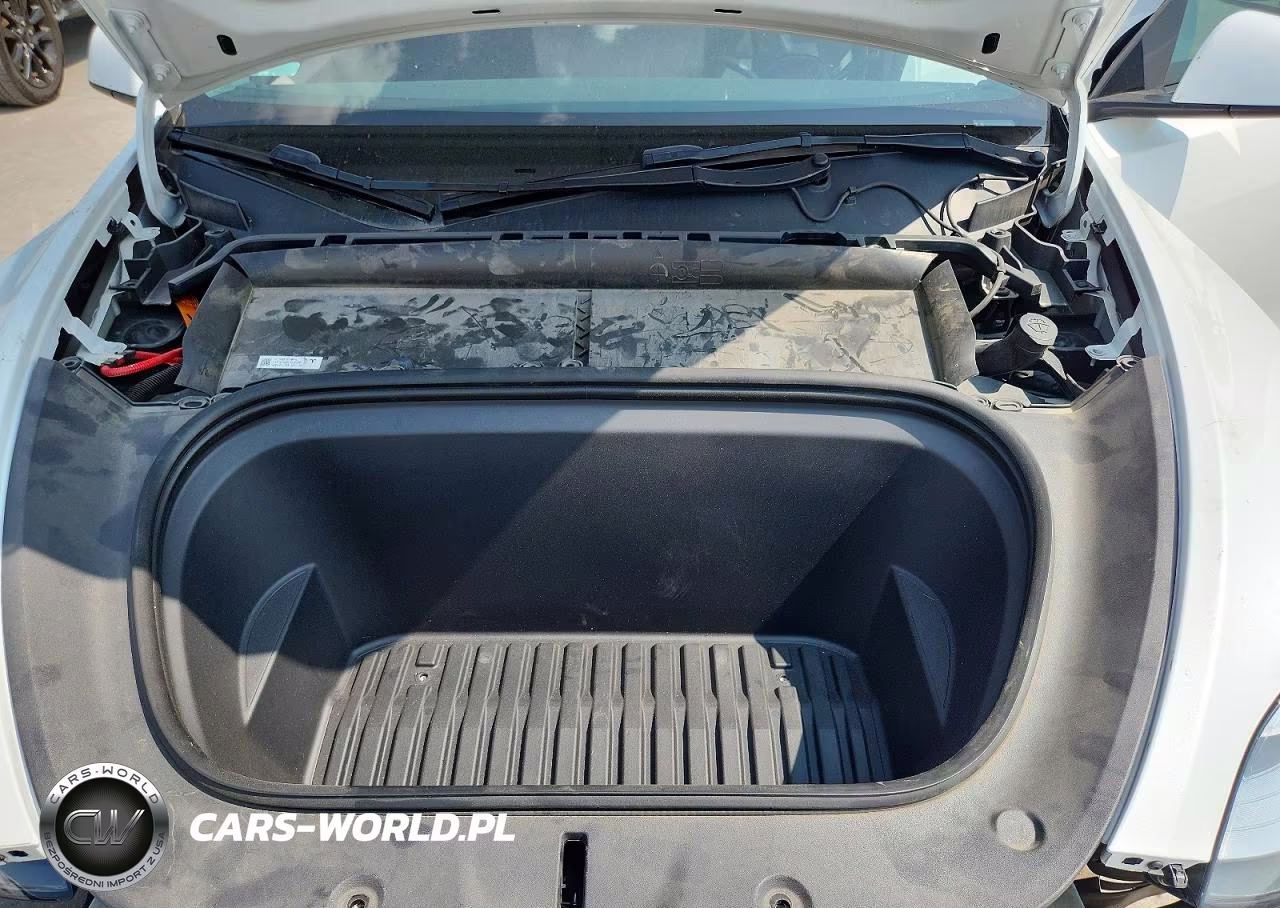 2023 Tesla Model Y VIN:7SAYGDEE7PA147566 - 11