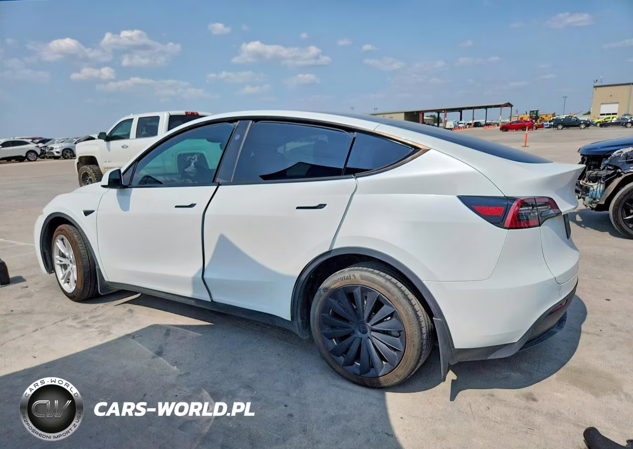 2023 Tesla Model Y VIN:7SAYGDEE7PA147566 - 2