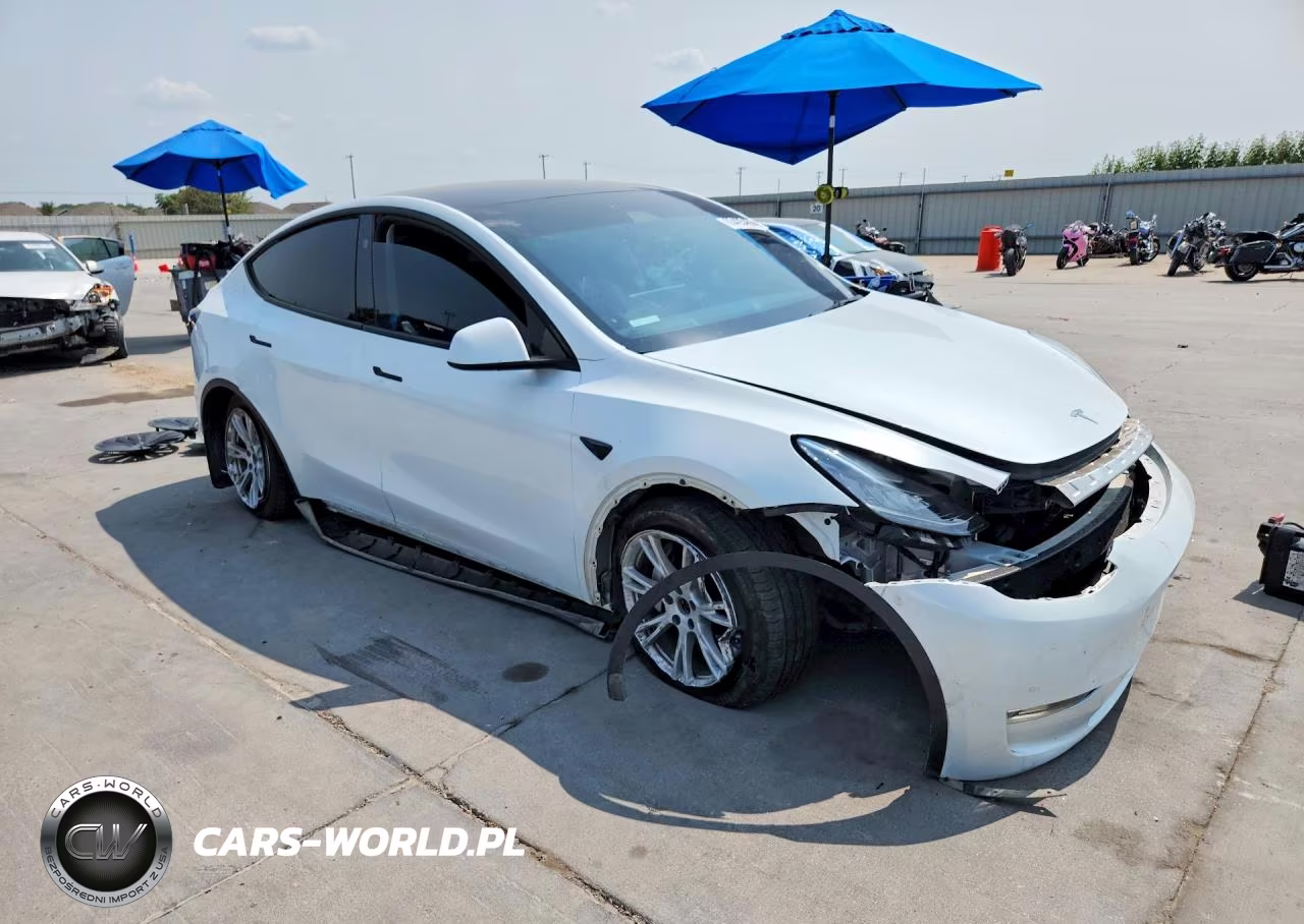 2023 Tesla Model Y VIN:7SAYGDEE7PA147566 - 4