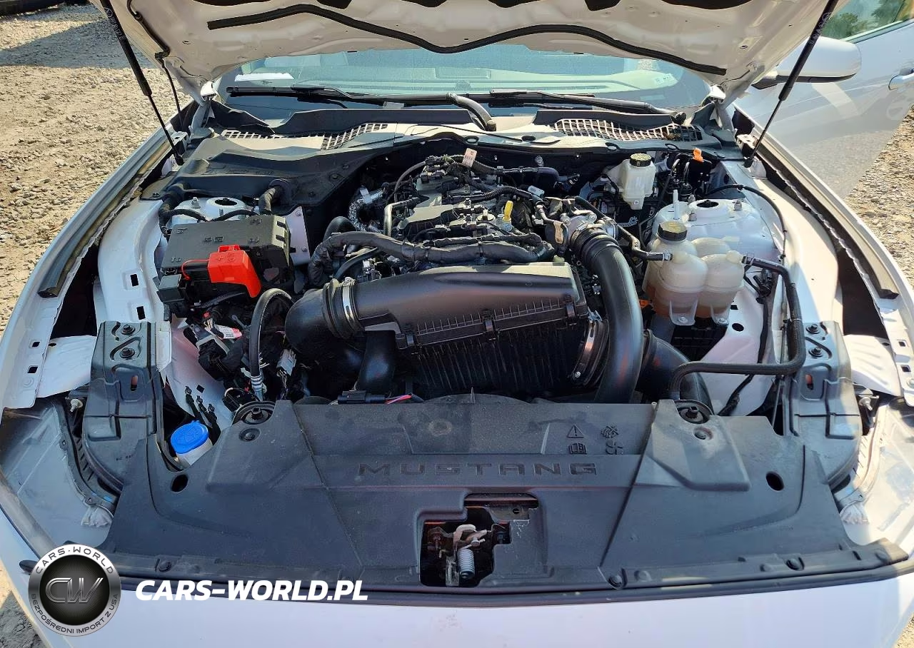 2024 Ford Mustang VIN:1FA6P8TH4R5125529 - 11