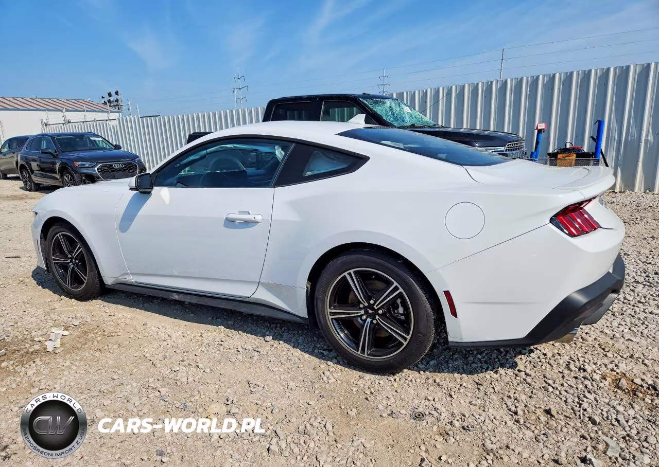 2024 Ford Mustang VIN:1FA6P8TH4R5125529 - 2
