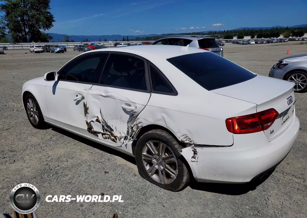 2010 Audi A4 Premium VIN:WAUAFAFL9AN021862 - 2