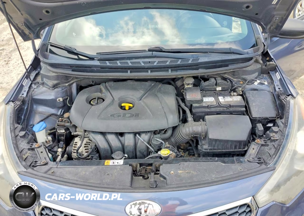 2014 Kia Forte Ex VIN:KNAFX4A82E5162267 - 11