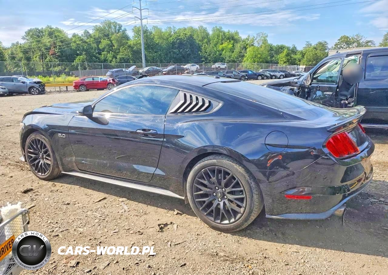 2017 Ford Mustang Gt VIN:1FA6P8CF3H5342325 - 2