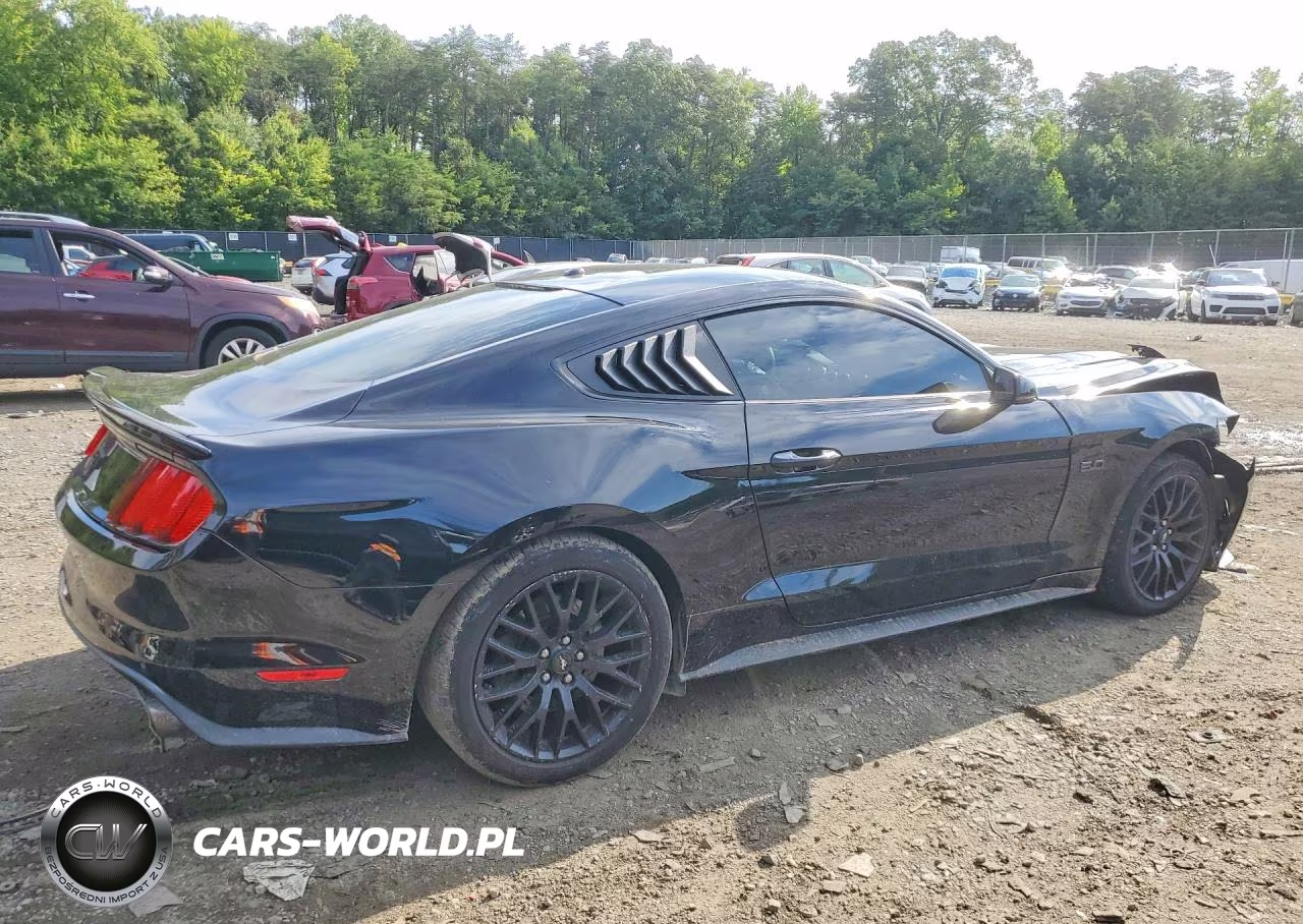 2017 Ford Mustang Gt VIN:1FA6P8CF3H5342325 - 3