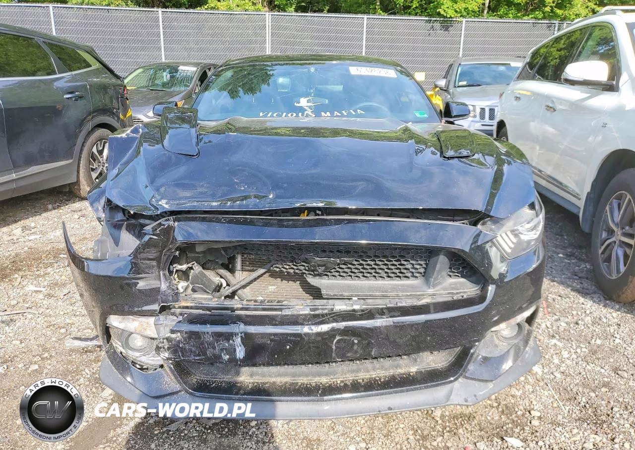 2017 Ford Mustang Gt VIN:1FA6P8CF3H5342325 - 5