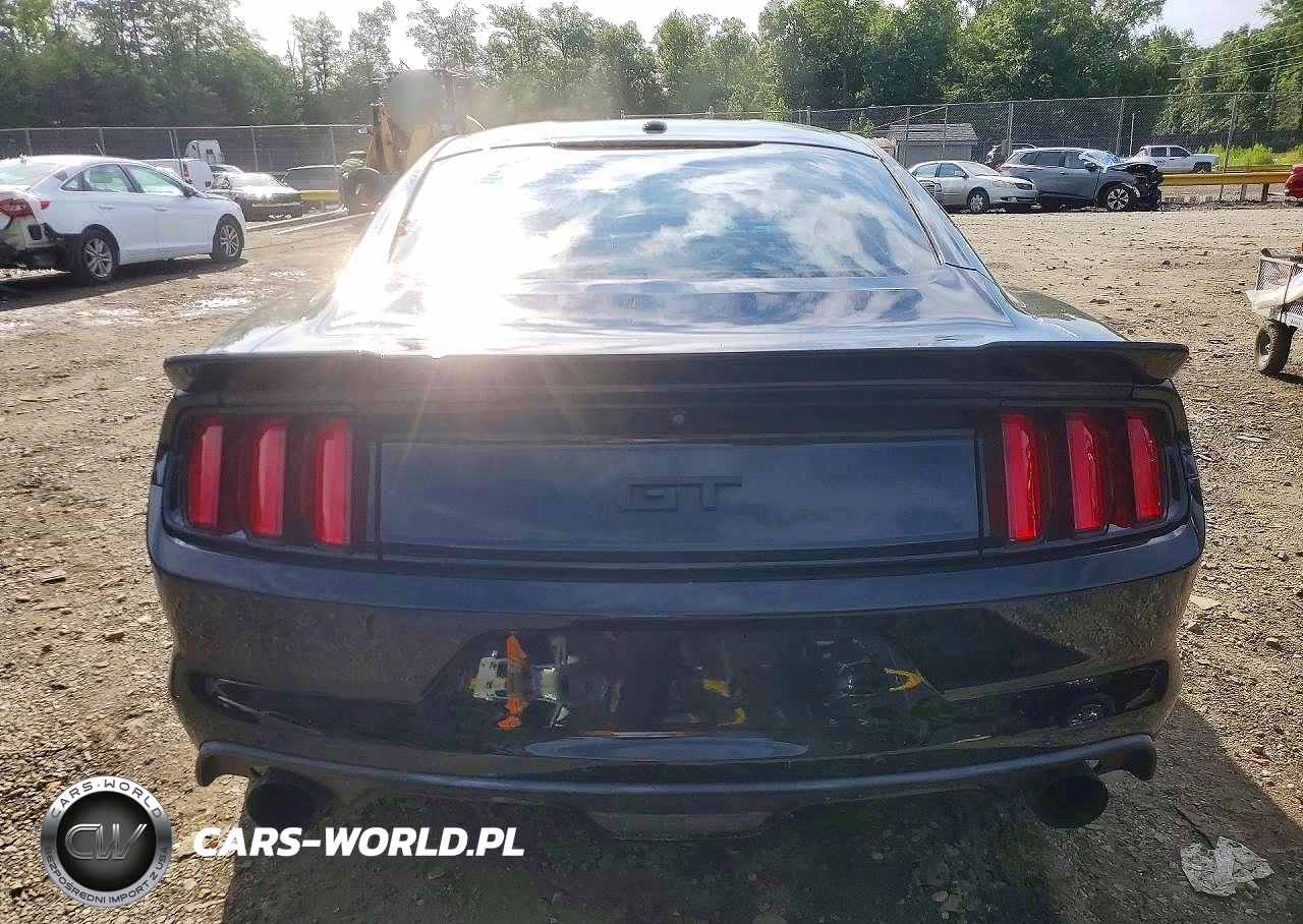 2017 Ford Mustang Gt VIN:1FA6P8CF3H5342325 - 6