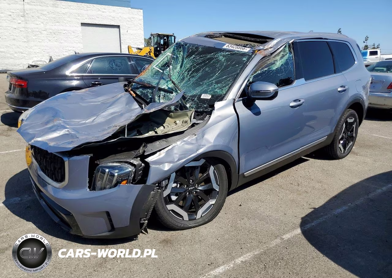 2023 Kia Telluride Ex VIN:5XYP34GC8PG379315 - 1
