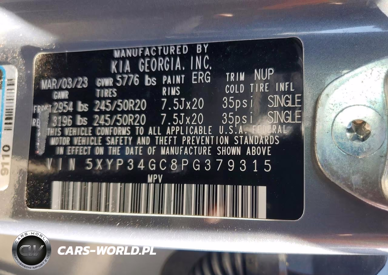 2023 Kia Telluride Ex VIN:5XYP34GC8PG379315 - 13