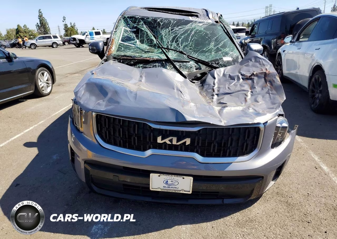 2023 Kia Telluride Ex VIN:5XYP34GC8PG379315 - 5
