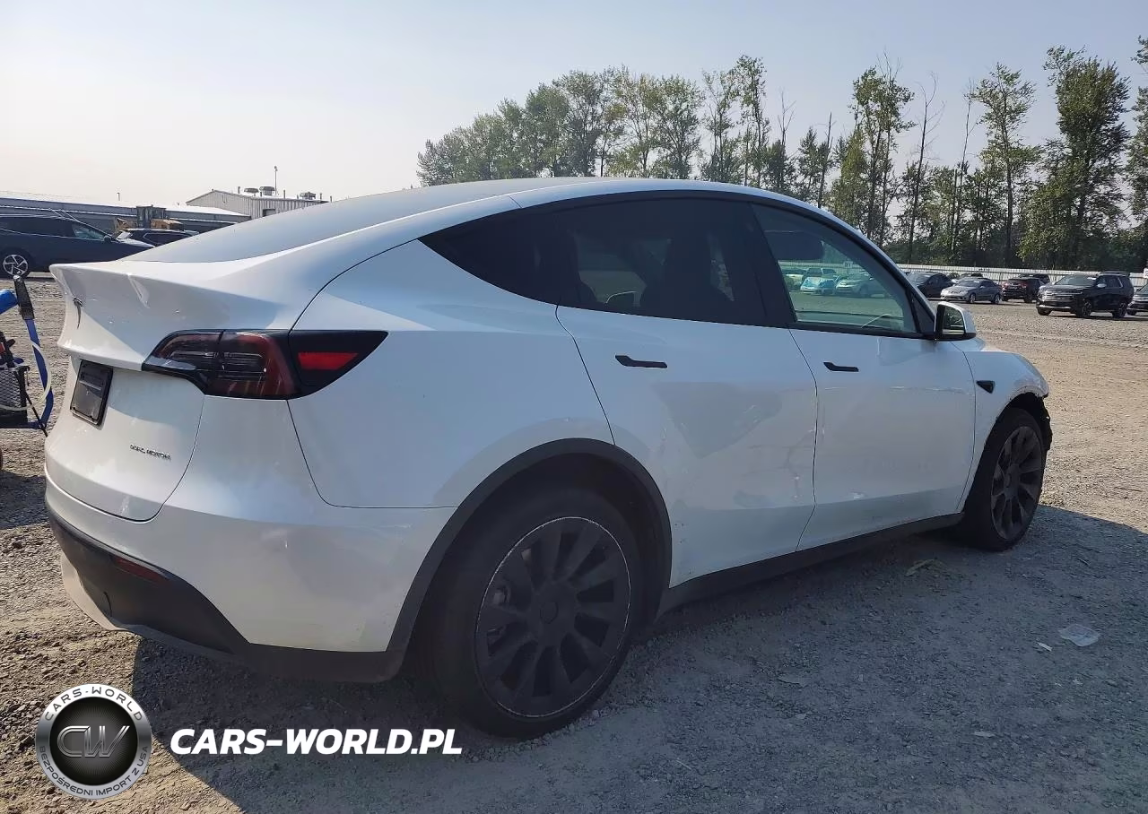 2023 Tesla Model Y VIN:7SAYGAEE5PF624075 - 3