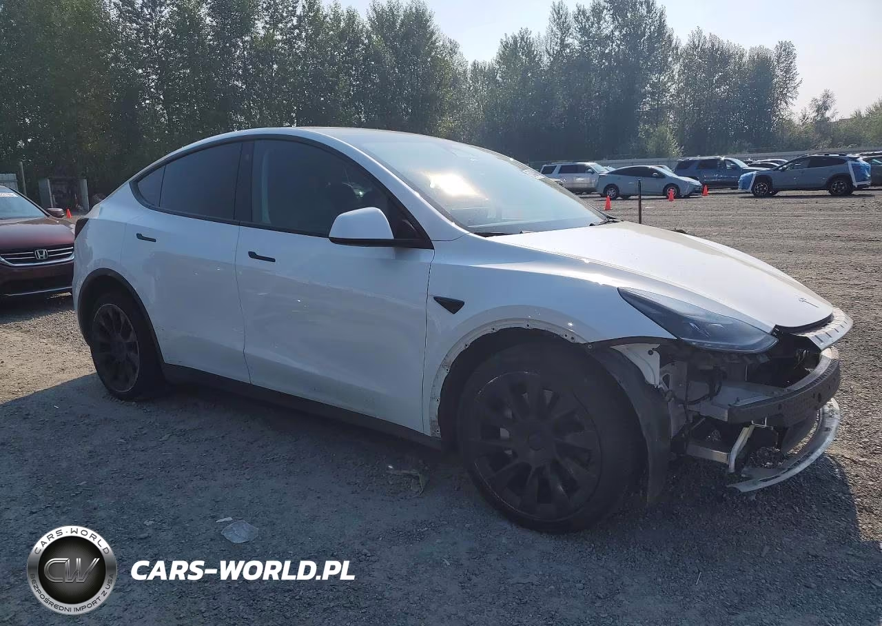 2023 Tesla Model Y VIN:7SAYGAEE5PF624075 - 4