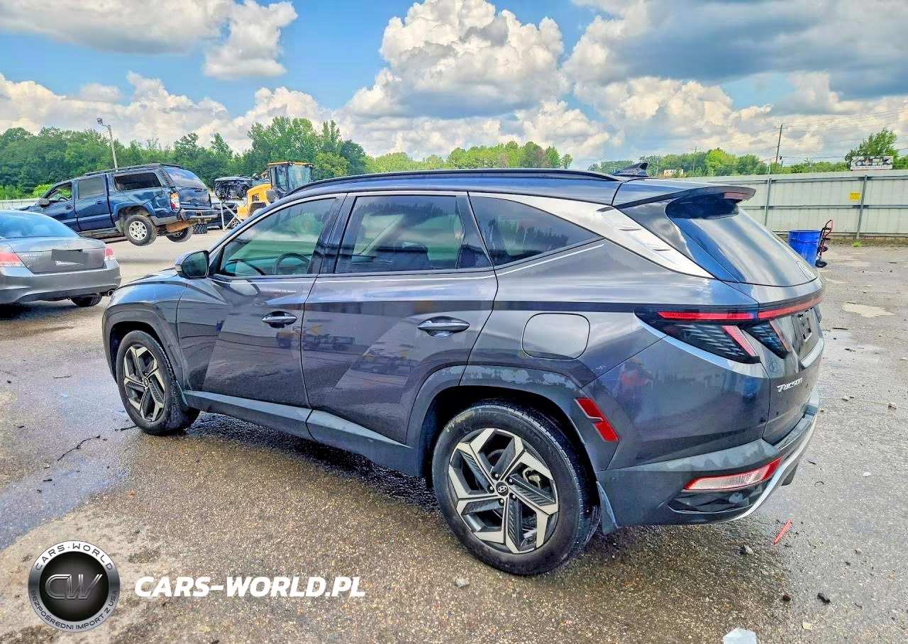 2023 Hyundai Tucson Limited VIN:5NMJE3AE5PH207723 - 2