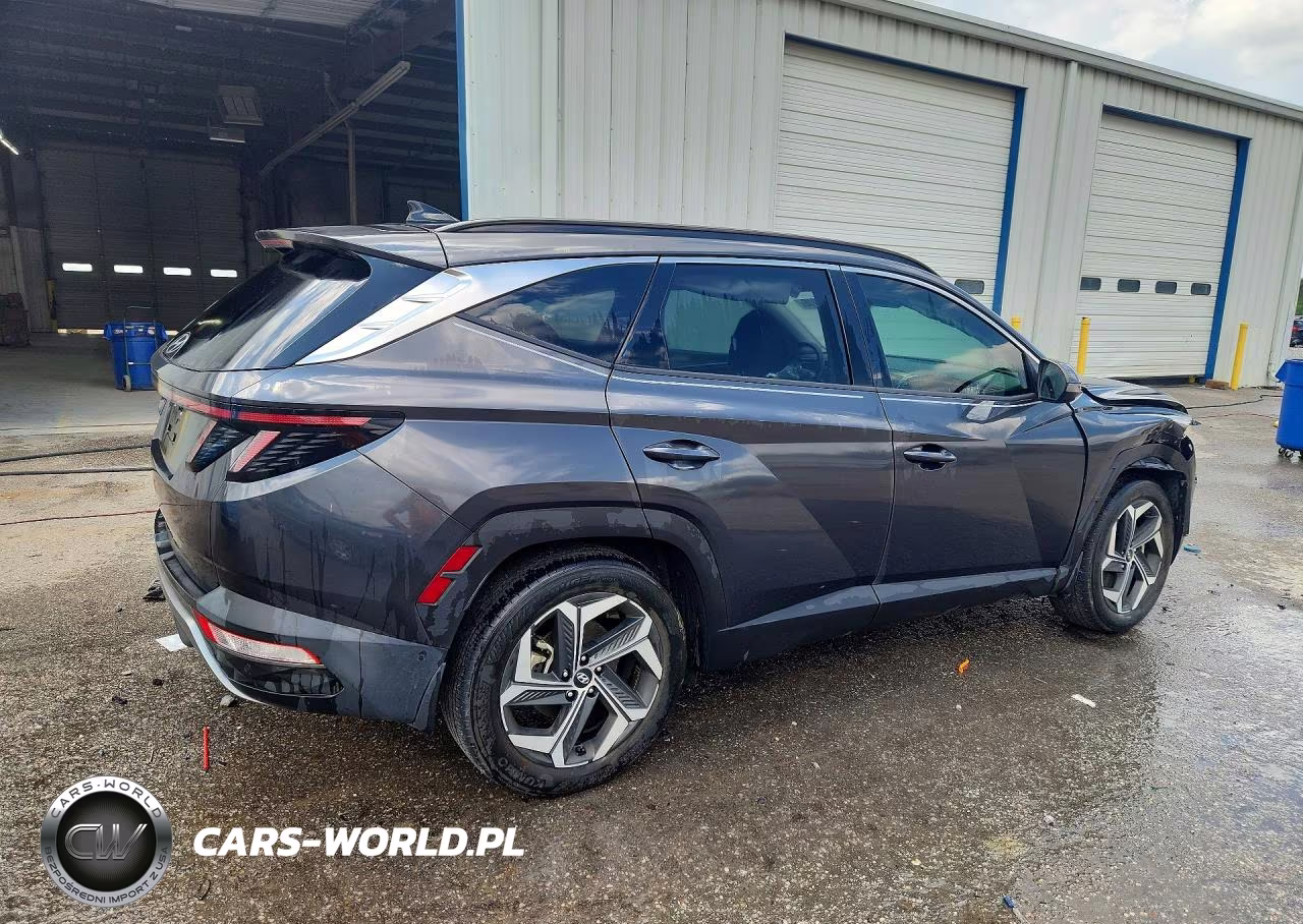 2023 Hyundai Tucson Limited VIN:5NMJE3AE5PH207723 - 3