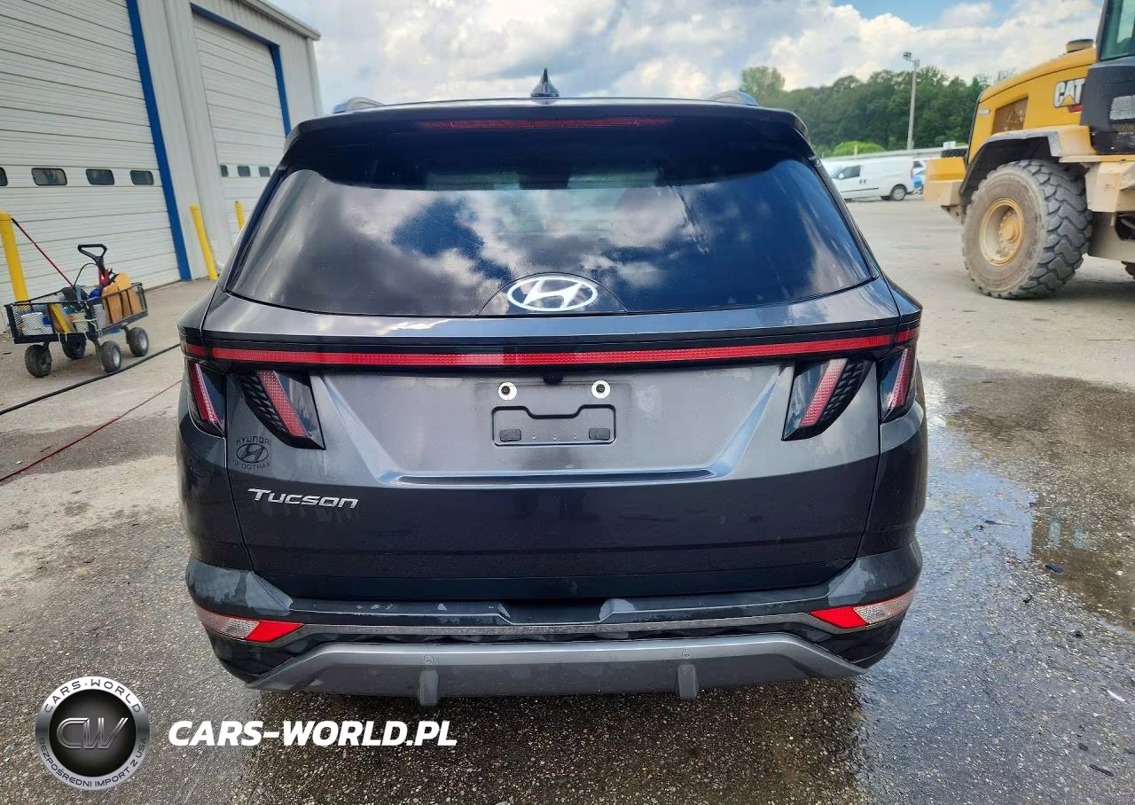 2023 Hyundai Tucson Limited VIN:5NMJE3AE5PH207723 - 6