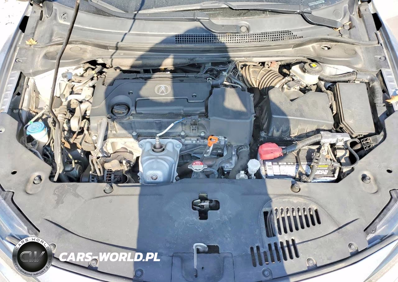 2019 Acura Ilx Premium VIN:19UDE2F76KA014082 - 11
