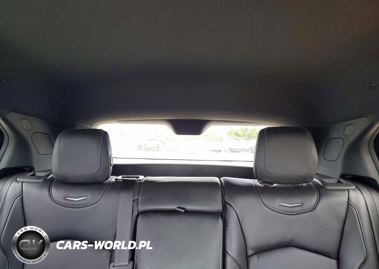 2020 Cadillac Xt4 Premium Luxury VIN:1GYFZCR46LF153436 - 10