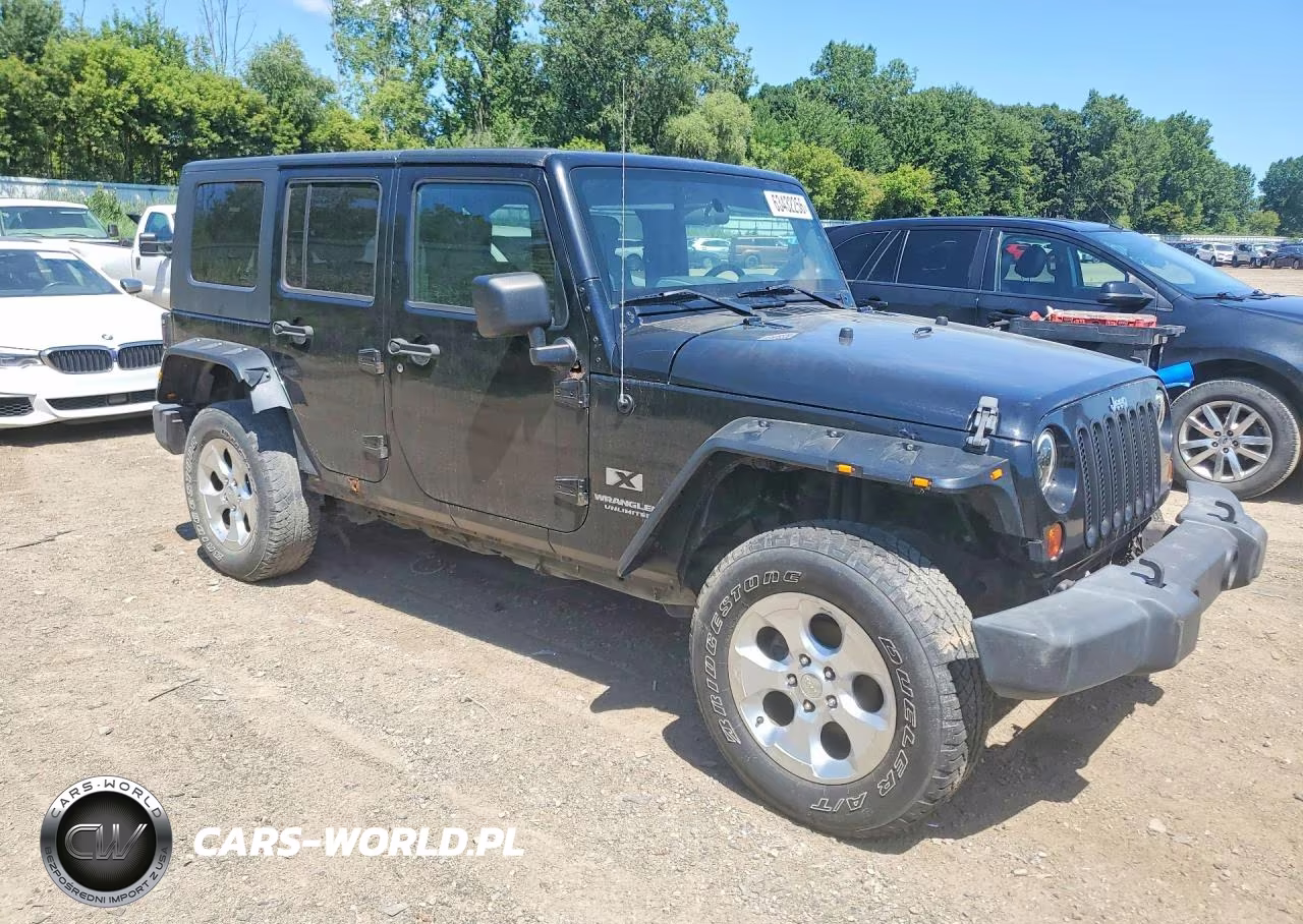 2009 Jeep Wrangler Unlimited X VIN:1J4GA391X9L705922 - 4