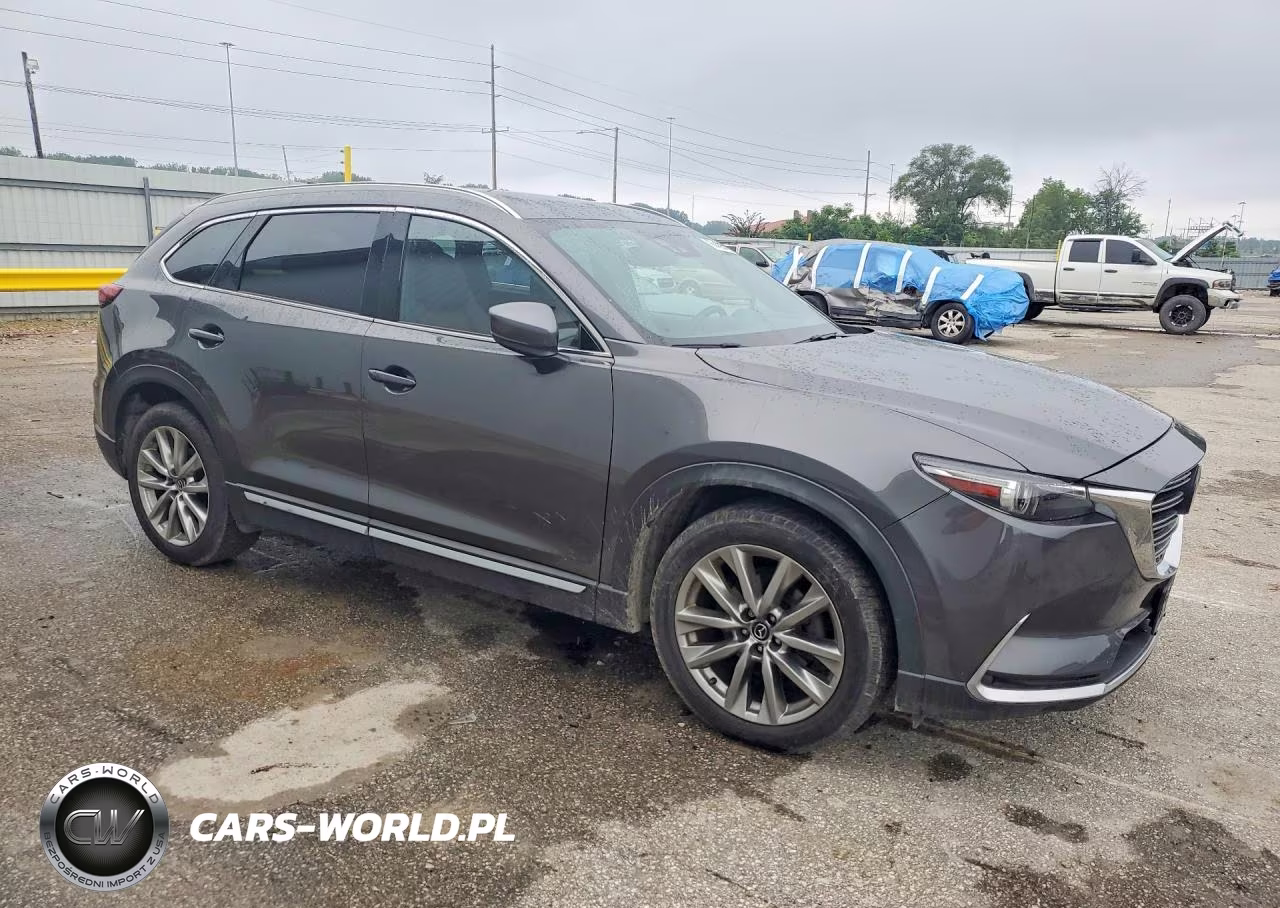 2017 Mazda Cx-9 Signature VIN:JM3TCBEY4H0136407 - 4