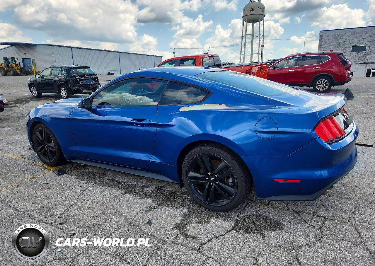 2017 Ford Mustang VIN:1FA6P8TH5H5208661 - 2