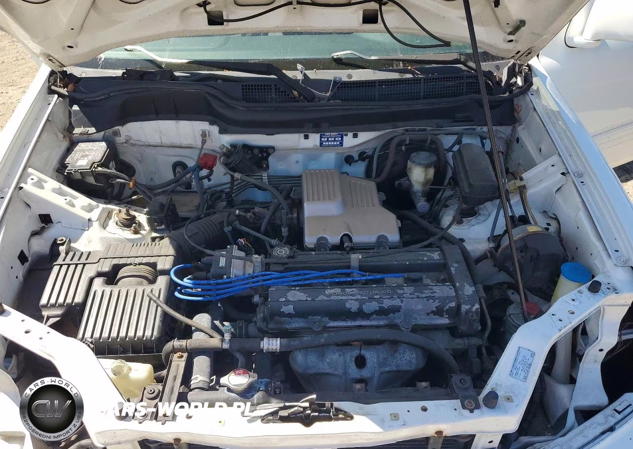 2000 Honda Cr-V Se VIN:JHLRD1877YS003998 - 11