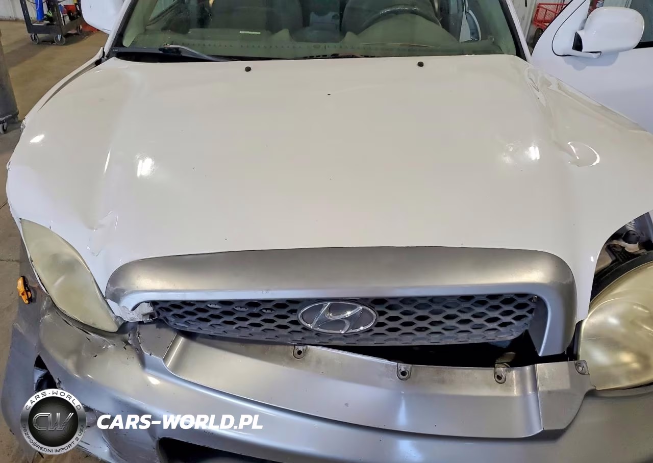 2004 Hyundai Santa Fe Gls VIN:KM8SC73D64U722283 - 11