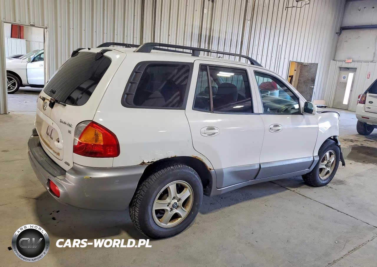 2004 Hyundai Santa Fe Gls VIN:KM8SC73D64U722283 - 3