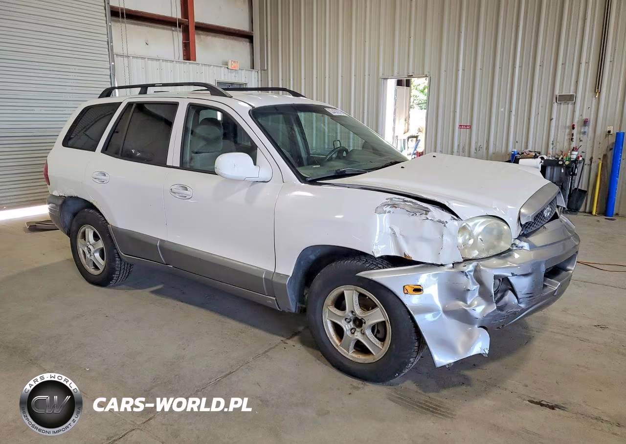 2004 Hyundai Santa Fe Gls VIN:KM8SC73D64U722283 - 4