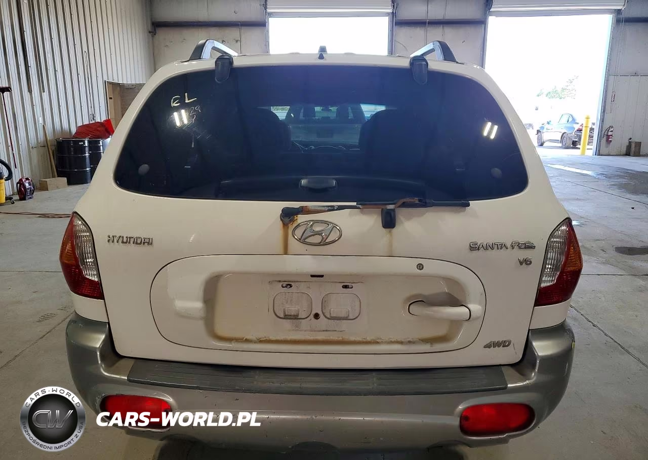 2004 Hyundai Santa Fe Gls VIN:KM8SC73D64U722283 - 6