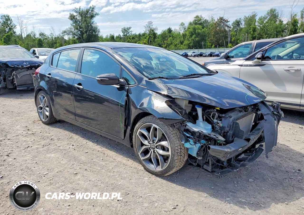 2016 Kia Forte5 Sx VIN:KNAFZ5A36G5590141 - 4
