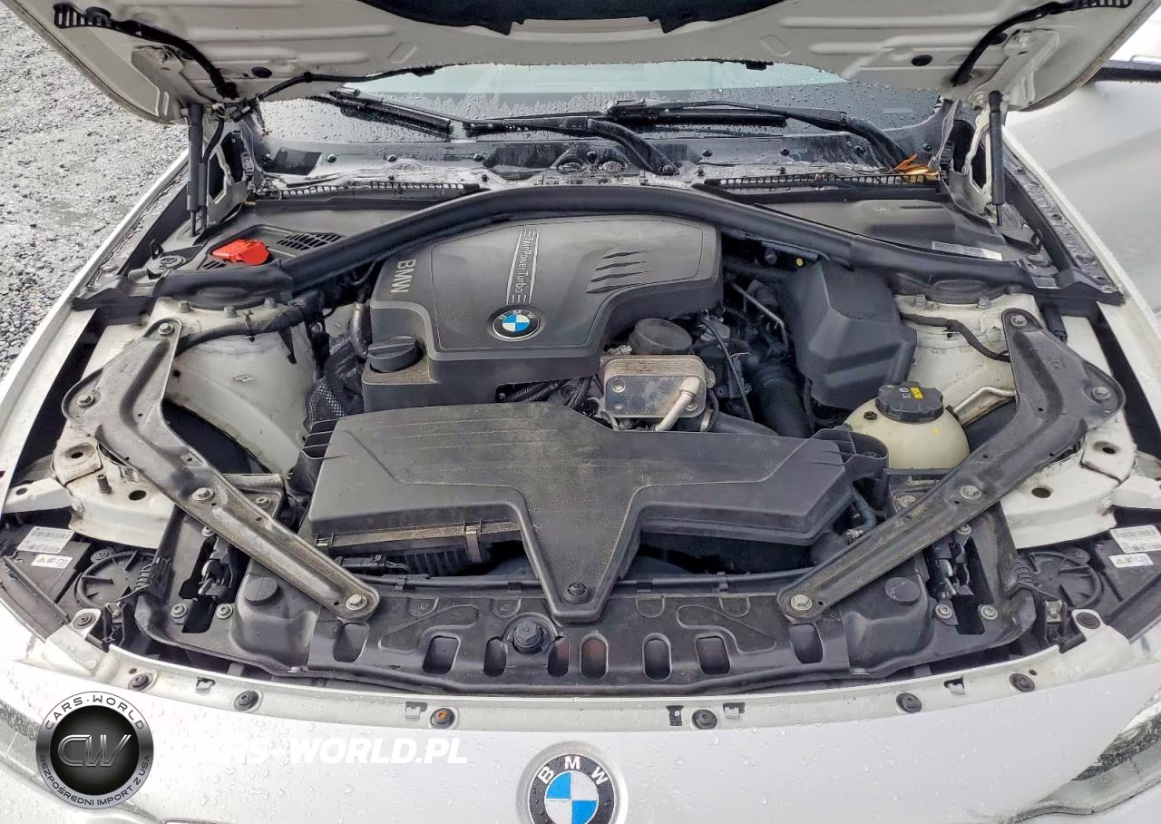 2016 BMW 428 I Sulev VIN:WBA3V7C52G5A25784 - 11
