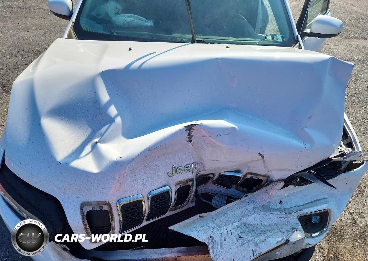 2019 Jeep Cherokee Limited VIN:1C4PJLDB9KD184052 - 12