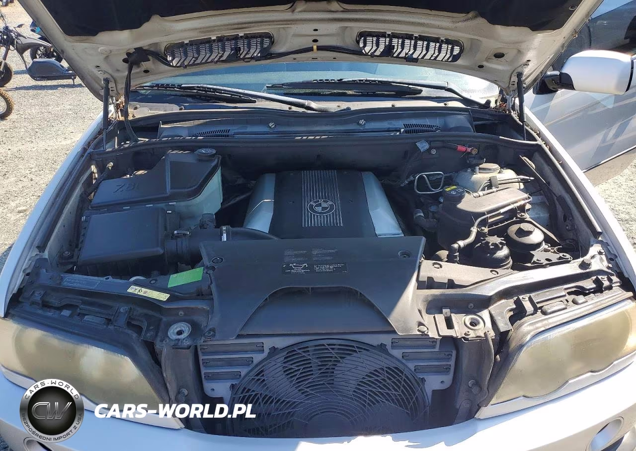 2001 BMW X5 4.4I VIN:WBAFB33561LH23980 - 12