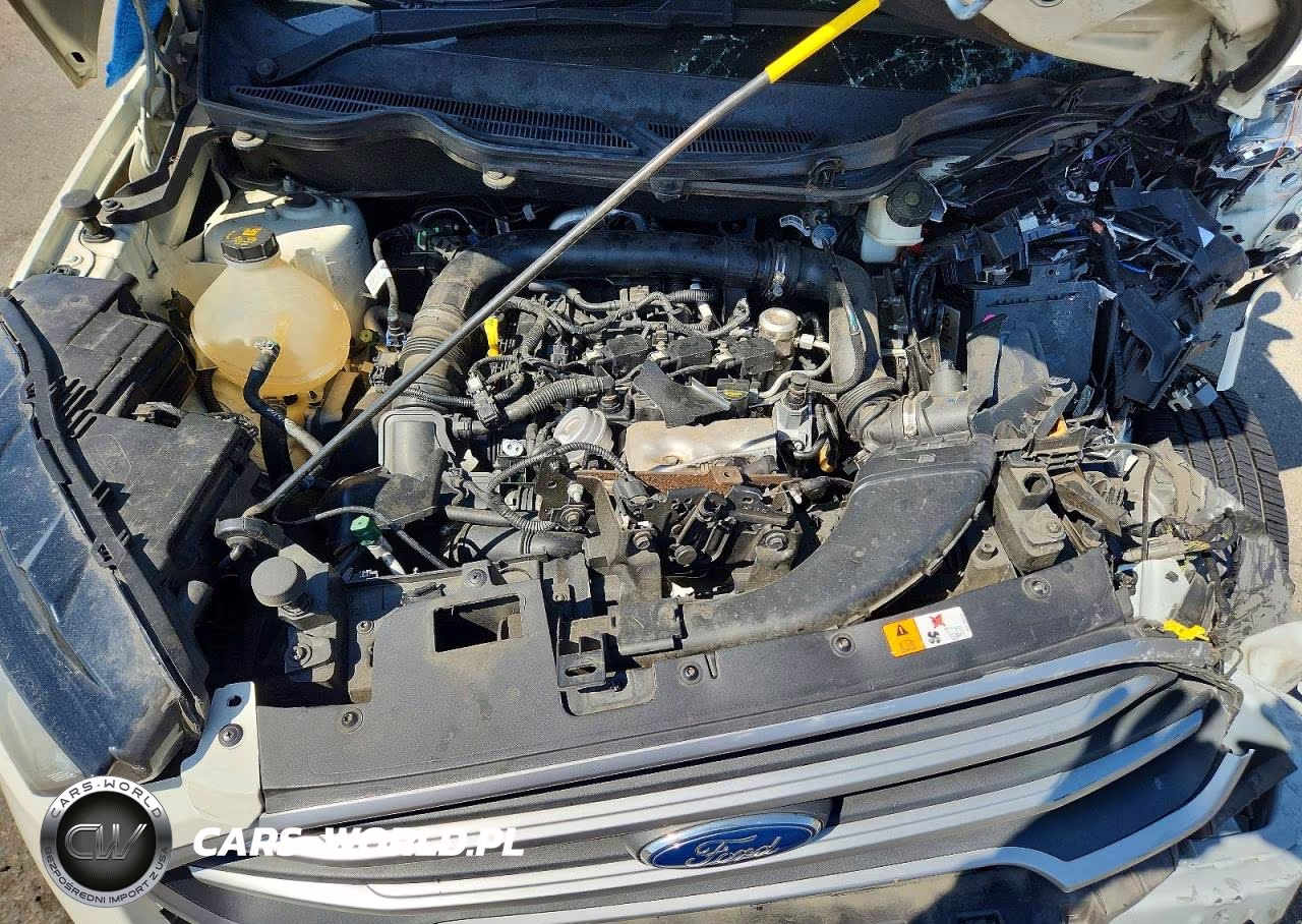 2020 Ford Ecosport Se VIN:MAJ3S2GE3LC368556 - 11