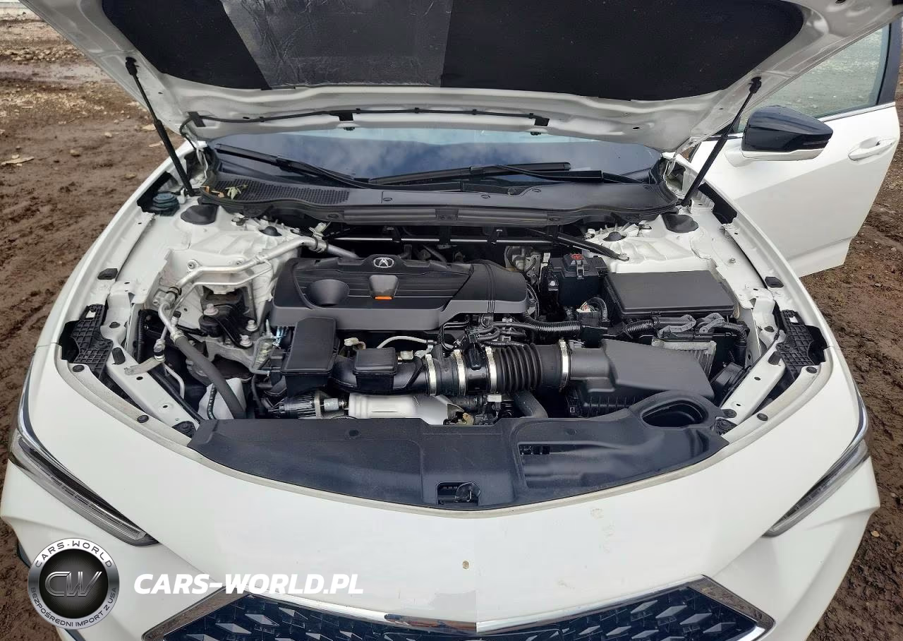 2023 Acura Tlx Advance VIN:19UUB6F67PA003364 - 11
