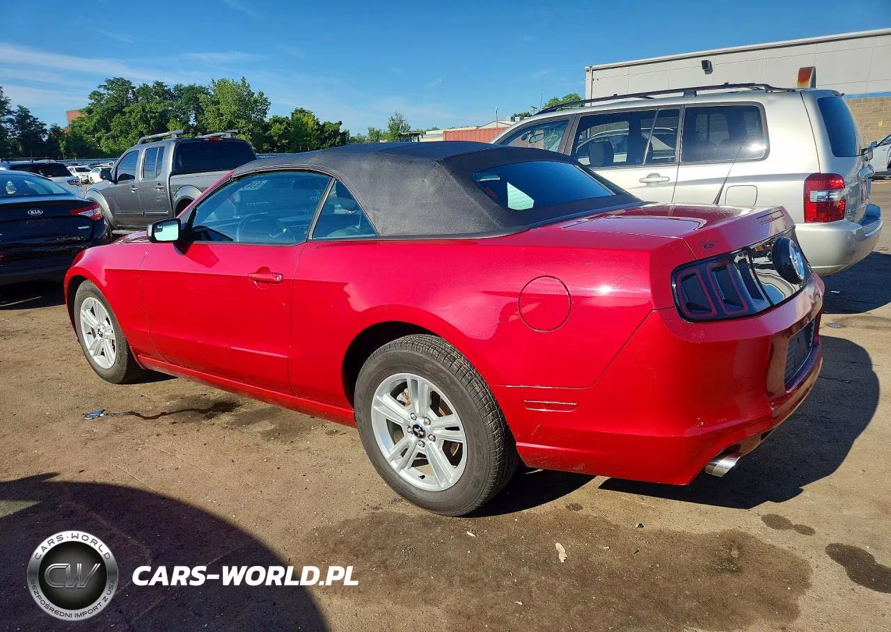 2013 Ford Mustang VIN:1ZVBP8EM9D5239194 - 2