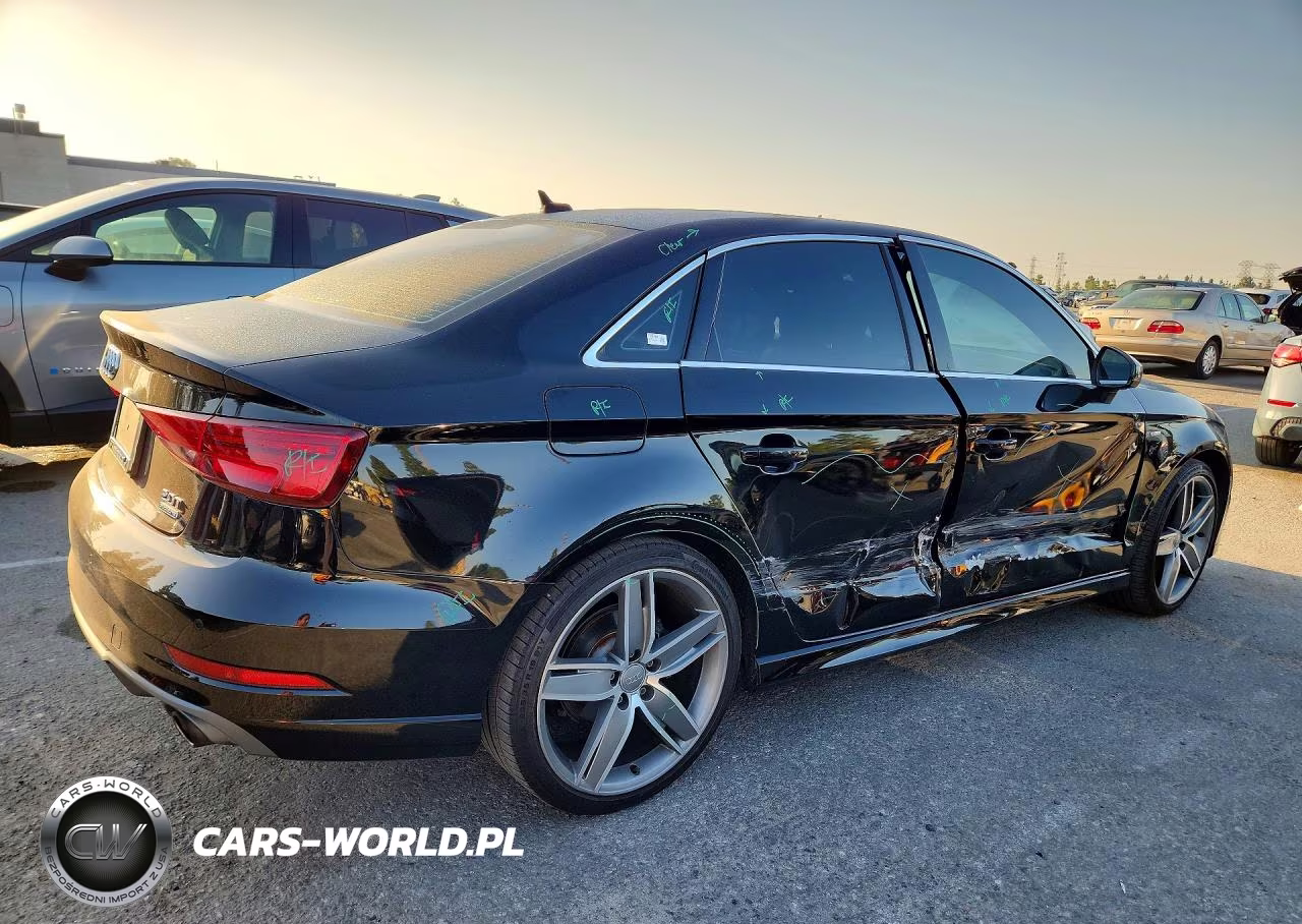 2017 Audi A3 Premium Plus VIN:WAUJ8GFF2H1029360 - 3