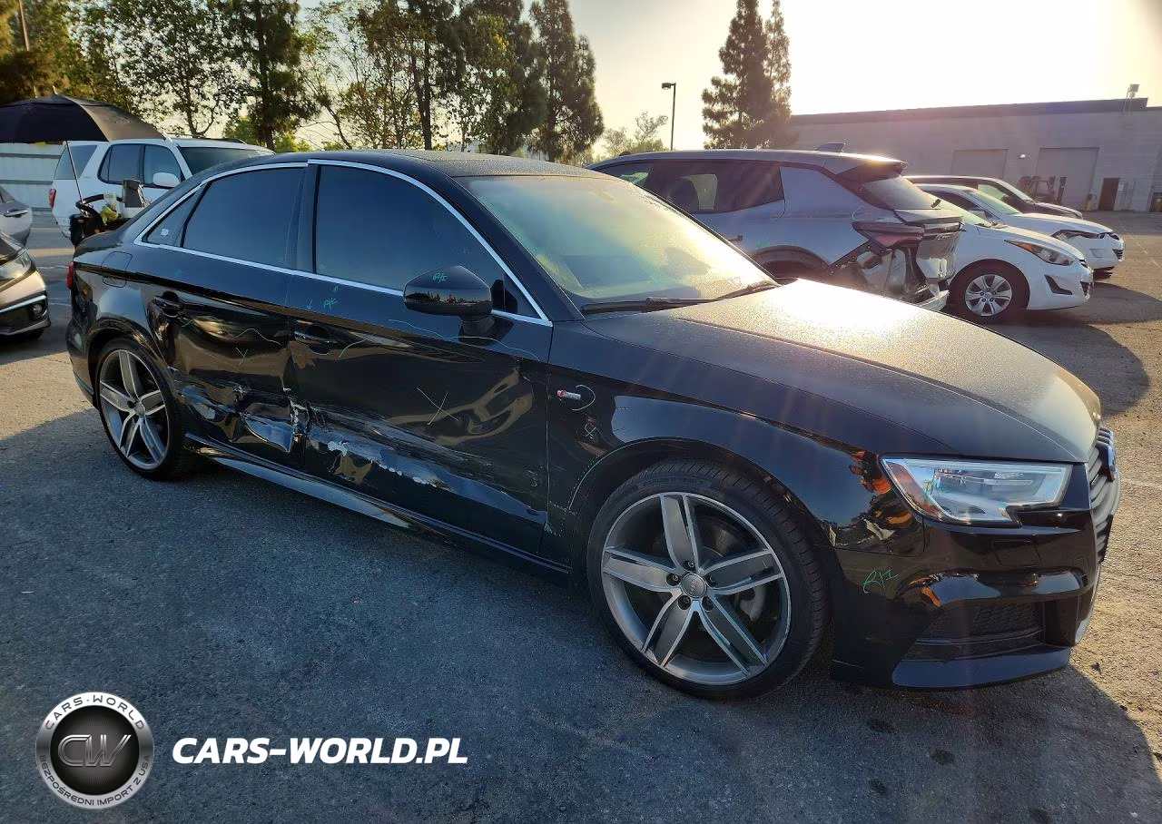 2017 Audi A3 Premium Plus VIN:WAUJ8GFF2H1029360 - 4